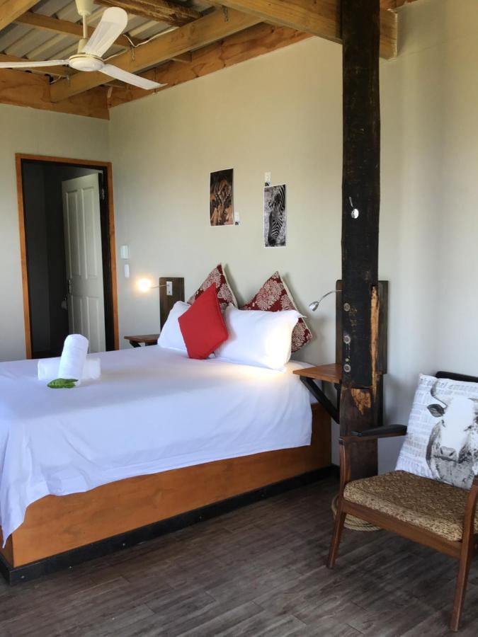 Coram Deo Saltywaves Double En-Suite Rooms With Sea Views Coffee Bay Zewnętrze zdjęcie