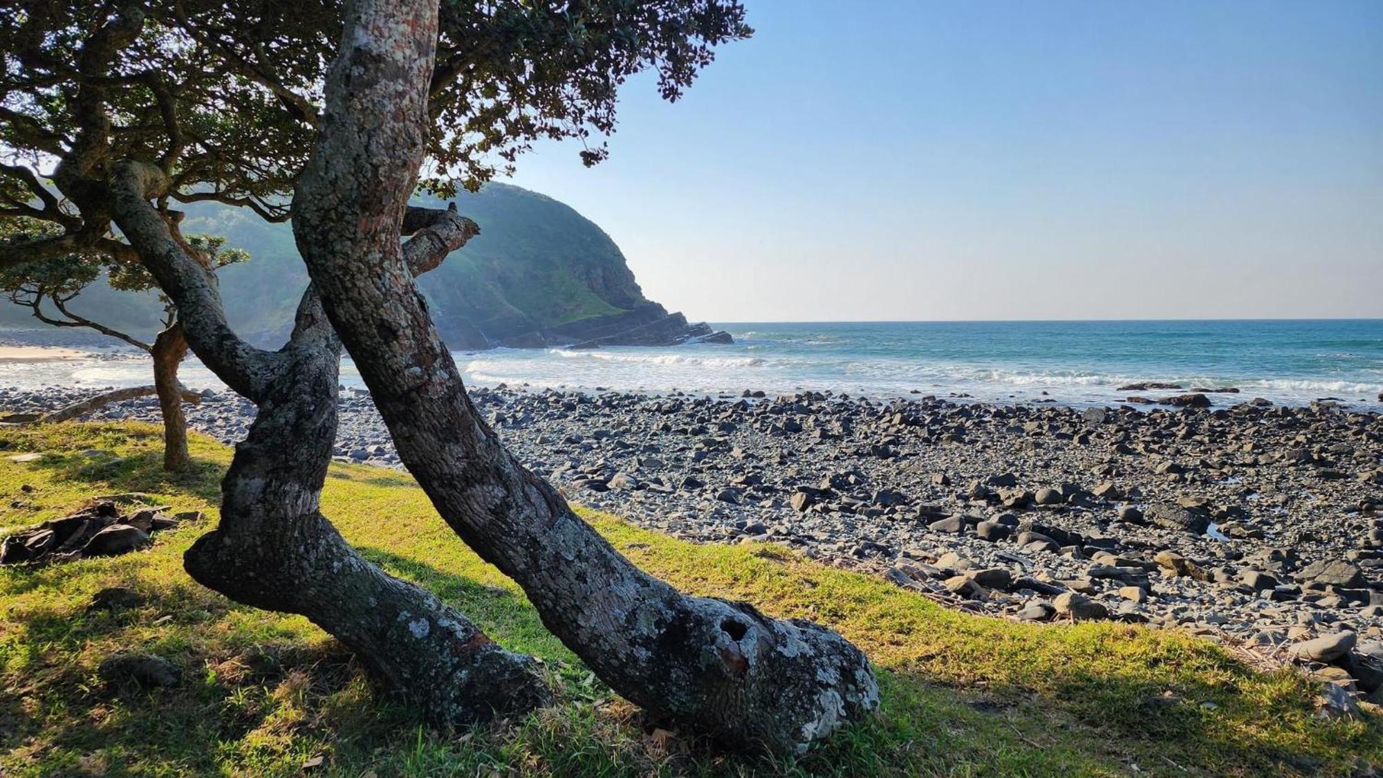 Coram Deo Saltywaves Double En-Suite Rooms With Sea Views Coffee Bay Zewnętrze zdjęcie